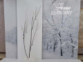 fotozona_131