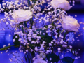 weddingday_20210822_19